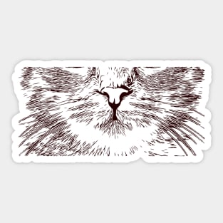 Crazy cute cat nose Sticker